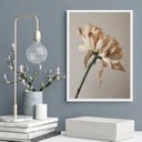 Ver imagem 1 de Quadro Decorativo Fotografia Flor- Tons Bege 24x18cm:madeira Preta