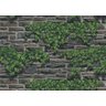 Papel de Parede Terra Gracia Ivy Stones (Charcoal Grey) 831091 Terra Gracia 831091 - 1