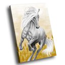 Ver imagem 1 de Quadro Cavalo Branco Br Artes Médio 84x54