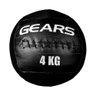 Wall Ball 4Kg Black Edition Gears - 1