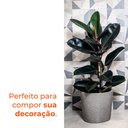 Ver imagem 5 de Kit 3 Vasos Reto Badi Pedra 28 Terrano