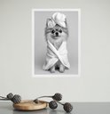 Ver imagem 1 de Quadro para Banheiro Cachorrinha Lulu de Roupão 33x24cm:moldura Branca