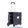 Carrinho de mão dobrável para bagagem 25kg carga preto Ajax - 1
