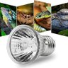 Lâmpada Aquecimento Uva Uvb Repteis Tartarugas Envio 24 Hrs 3.0 75w 220v - 1