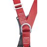 Cinto 5 Pontos Cp1301 Camper Cinza/vermelho - 5