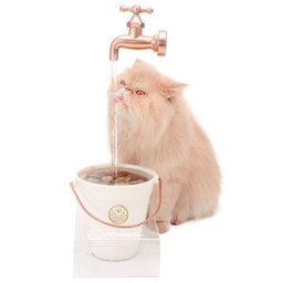 Bebedouro Torneira para Gato Magicat GOLD 110v - CatMyPet - 1