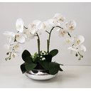 Ver imagem 2 de Arranjo Flor Orquídeas Artificiais Branca No Vaso Montado