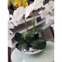 Ver imagem 4 de Arranjo Flor Orquídeas Artificiais Branca No Vaso Montado