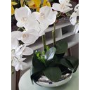Ver imagem 3 de Arranjo Flor Orquídeas Artificiais Branca No Vaso Montado