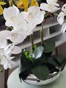 Ver imagem 3 de Arranjo Flor Orquídeas Artificiais Branca No Vaso Montado