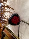 Ver imagem 5 de Coração Encantado Flores Rosa Girassol Presente Perfeito Amor Lindo Rosa Vermelha