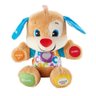 Fisher Price Cachorrinho TUMMY Aprendendo a Brincar Mattel FVC80 - 1