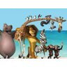 Painel Lona Madagascar mod08 - 3 M X 1,6 M - 1