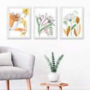 Ver imagem 1 de Kit 3 Quadros Decorativos Flores Soft aquarela 45x34cm - com Vidro:madeira Preta