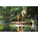 Ver imagem 1 de Painel Lona Tarzan Tarzã mod04 - 3 M X 1,6 M