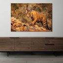 Ver imagem 2 de Quadro Tigre Nas Montanhas -- Br Artes