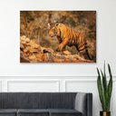 Ver imagem 3 de Quadro Tigre Nas Montanhas -- Br Artes