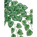 Ver imagem 4 de Galhos de Folhas de Melancia Artificiais Quantidade:6