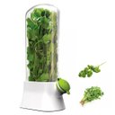Ver imagem 2 de Dispenser Recipiente de Ervas Frescas Armezamento Geladeira Conserva Hortela Salsa Coentro Vegetais