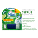 Ver imagem 2 de Kit 3 Unidades Refil Detergente Sanitários para Reposição Gel Adesivo 38g Novo Frescor Dura até 6 Se