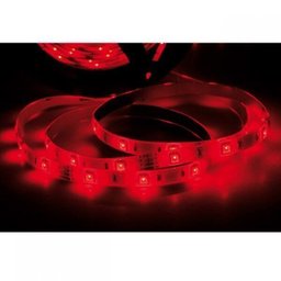 Fita LED 5W 60 LEDs/metro 5m Bivolt IP67 Taschibra Luz - 1
