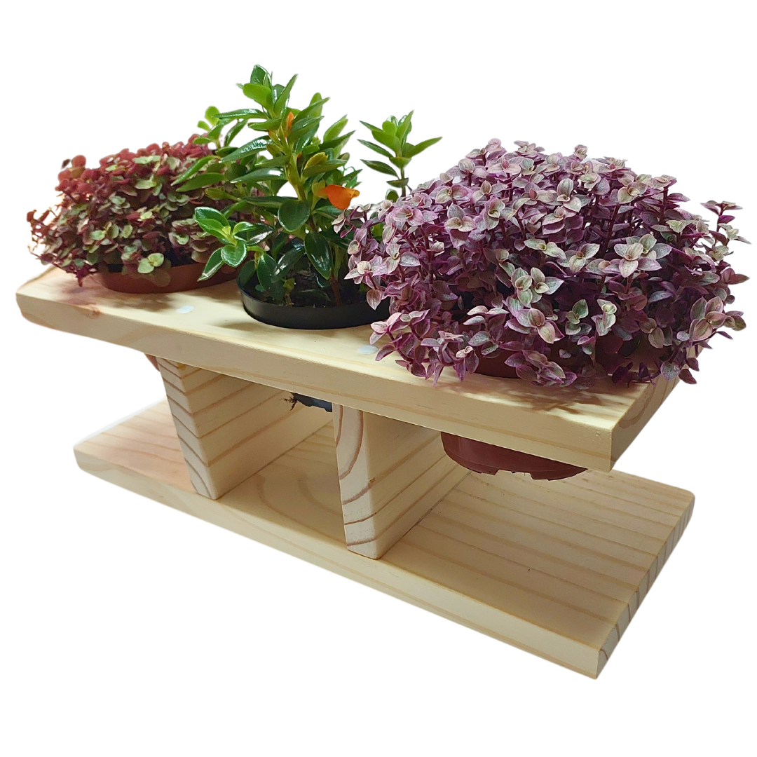 Suporte Horizontal de Mesa para Plantas em Pinus - 1