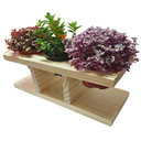 Ver imagem 1 de Suporte Horizontal de Mesa para Plantas em Pinus