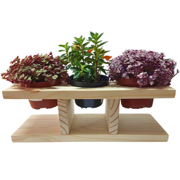 Suporte Horizontal de Mesa para Plantas em Pinus - 2