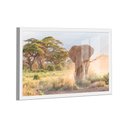 Ver imagem 1 de Quadro Elefante Savana -- Br Artes