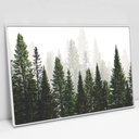 Ver imagem 1 de Quadro Decorativo em Canvas Árvores - Moldura Branca - 60 x 40cm