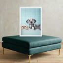 Ver imagem 2 de Quadro Decorativo Pet Shop - Cães e Gato 45x34cm - com Vidro:moldura Branca