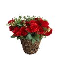 Ver mais imagens de Kit 5 Buques de Rosas Artificiais com Rosas e Folhagens Cor:vermelho