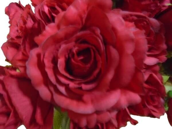 Kit 2 Buques de rosas artificiais com rosas e folhagens Cor:Vermelho - 3
