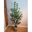 Ver imagem 2 de Planta Árvore Artificial Bambu Real Toque 1,6m