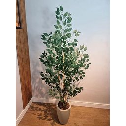 Planta Árvore Artificial Bambu Real Toque 1,6m - 2