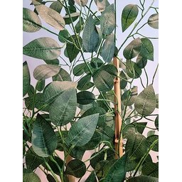 Planta Árvore Artificial Bambu Real Toque 1,6m - 4