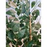 Planta Árvore Artificial Bambu Real Toque 1,6m - 4