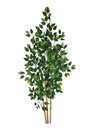 Ver imagem 1 de Planta Árvore Artificial Bambu Real Toque 1,6m