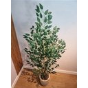 Ver imagem 3 de Planta Árvore Artificial Bambu Real Toque 1,6m