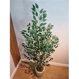 Planta Árvore Artificial Bambu Real Toque 1,6m - 3