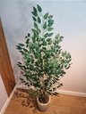 Ver imagem 3 de Planta Árvore Artificial Bambu Real Toque 1,6m