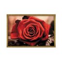 Ver imagem 2 de Quadro com Moldura Rosa Vermelha Dourado - Grande