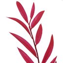 Ver mais imagens de 02 Hastes Folhas Outono Decorativas 90cm