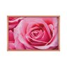 Quadro com Moldura Rosa ROSE METALIZADO - Médio - 2