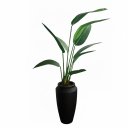 Ver imagem 2 de Árvore Heliconia Artificial Realista no Vaso Thai Polietileno Preto | Formosinha