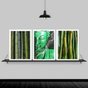 Ver imagem 1 de Kit 3 Quadros Feng Shui Buda Bambu 33x24cm:Madeira branca