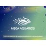Ração Peixe De Lago Carpas E Kinguios Tetra Pond Sticks 3Kg - 9