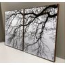 Conjunto com 2 quadros decorativos Galhos árvore seca em preto e branco:0,60 X 0,80/MADEIRA - 1