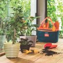 Ver imagem 4 de Kit Especial para Jardim 14 Peças Tramontina