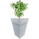 Ver imagem 3 de Vaso Médio Coluna Quadrado Rattan Para Flores Plantas 17,5 L